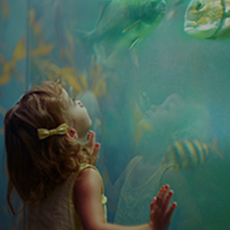nina observando peces